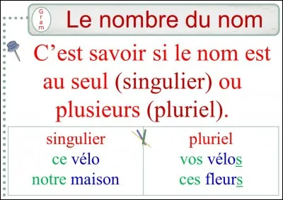 Grammaire : le nombre des noms - Un de ces noms va être rejeté par les autres, lequel ?