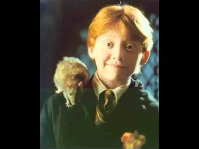 Dans Harry Potter, comment le rat de Ron s'appelle-t-il ?