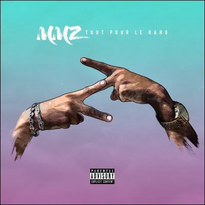 Leur premier album est sorti le ...