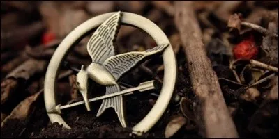 Quel est le symbole de révolution lancé par Katniss Everdeen ?