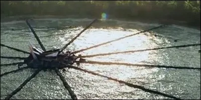 Où se passent les Hunger Games ?