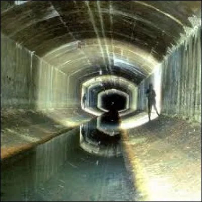 Qui est le Boss des égouts ?