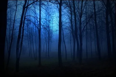 Apprécies-tu quand l'horreur se mélange au paranormal ou quand il y a plein de sang ?