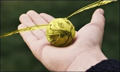 Comment Harry a-t-il attrapé le Vif d'or la première fois qu'il a joué au Quidditch ?