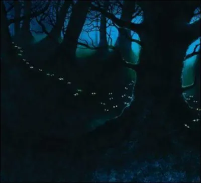 Lors du combat contre la Forêt Sombre, qui a tué Queue de Rat ?