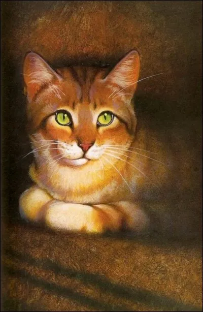 De qui Étoile de Léopard était-elle amoureuse ? (Plusieurs réponses possibles !)