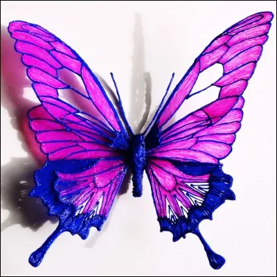 Quel est le nom de cet insecte ?