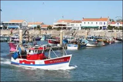 Quelle île de Charente-Maritime Pierre Loti surnommait-il la "Lumineuse" ?
