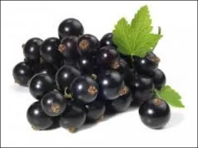 Canard mâle : ma...