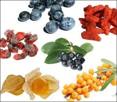 Il est surnommé le chou caraïbe : ma...