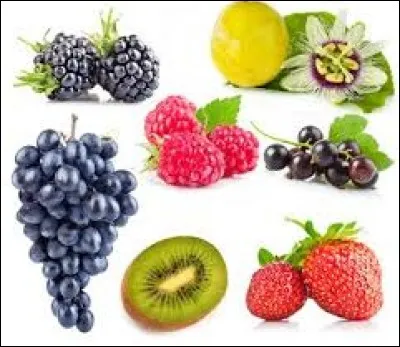 Plante à fleurs jaunes, de la famille des ombellifères : ma...