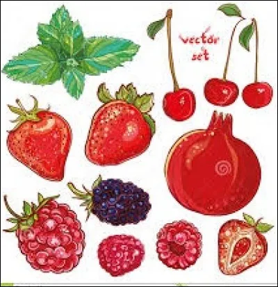 En zoologie, gros singe sans queue, du genre des macaques : ma...