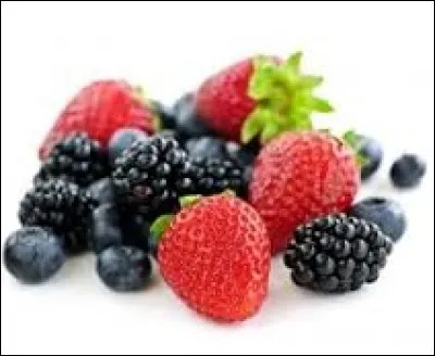 Enceinte de filets pour pêcher le thon : ma...