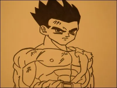 Quels sont les deux gar&ccedil;ons qui portent des lunettes dans Dragon Ball GT ?