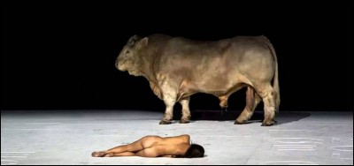 Épouse de Minos engendrant le Minotaure dans une passion contre nature avec un taureau. Qui est-elle ?