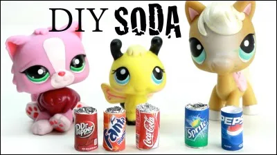 Comment les appelle-t-on ?