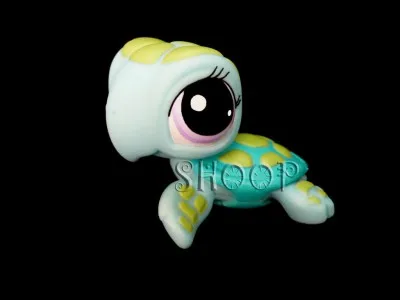 Trouvez l'intrus ...