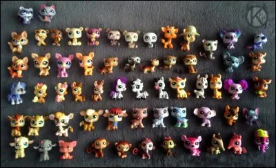 Combien en existe-t-il?