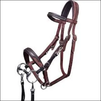 Quel est cet accessoire ?