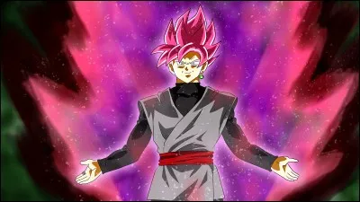Qui est ce personnage qui ressemble à Goku ?