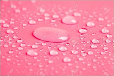 Comment dit-on "rose" ?