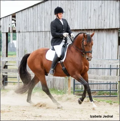 Laquelle de ces aides n'est pas une aide artificielle ?