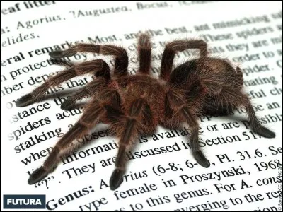 Qu'est-ce que c'est ?