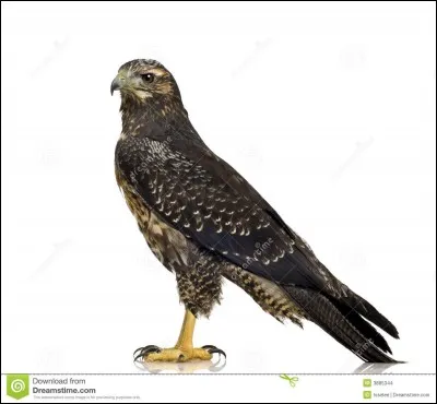 J'apparais près d'un lac.