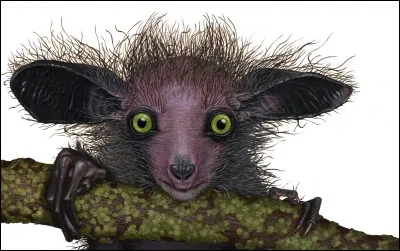 C'est plutôt moche, non ?