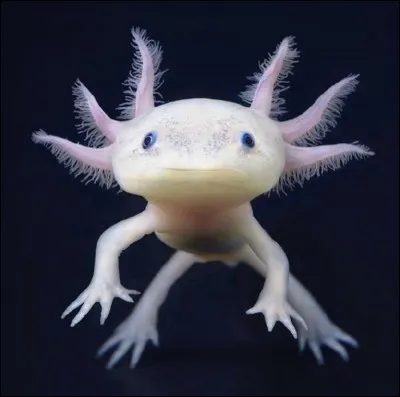 Essaye de me reconnaître.