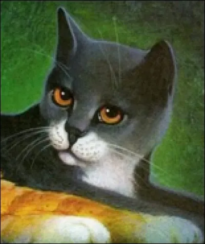 J'étais guérisseur, mais même si ma profession était de soigner les malades j'ai toujours la truffe qui coule. Je viens du Clan de l'Ombre. Vas-y devine qui je suis.