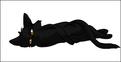 Je suis le deuxième fils d'une solitaire et du chef du Clan de l'Ombre. J'ai un frère et une sœur. Je suis mort noyé chaton. Qui suis-je ?