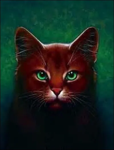 Je viens du Clan de l'Ombre et j'ai trahi mon clan lors de l'attaque de la forêt sombre. C'est mon chef qui m'a tué. Comment je m'appelle ?