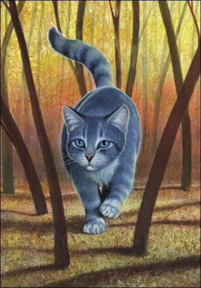 Je viens du Clan de la Rivière et je suis amoureuse d'un membre du Clan du Tonnerre. Nous avons eu 2 magnifiques chatons, mais je suis morte lors de la mise bas. Qui suis-je ?