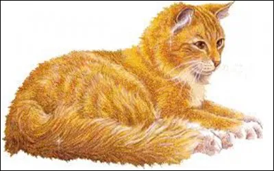 J'ai toujours été amoureuse du fils de Chipie mais je suis morte à cause d'une morsure de serpent. Mon compagnon a eu des chatons avec ma sœur. Comment je m'appelle?