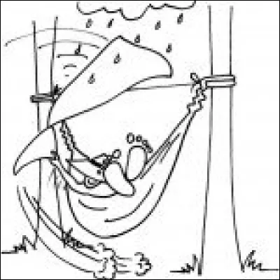 À l'occasion de votre anniversaire, vos amis souhaitent vous offrir un cadeau. Le cadeau parfait pour vous serait :