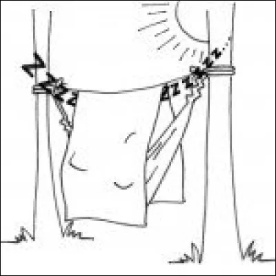 Vous êtes plutôt :