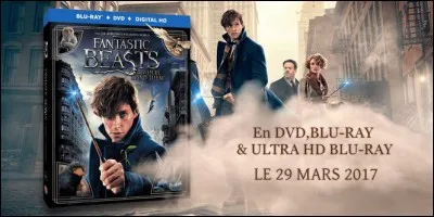 Un film que tu aimes bien sort en DVD, que fais-tu ?