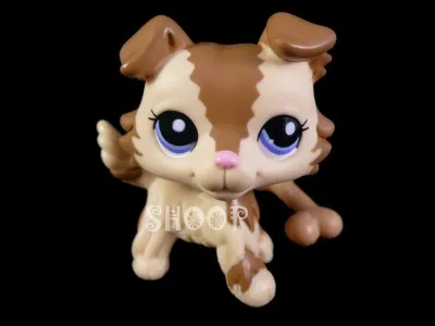 Quelle est cette race ?