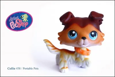 Comment s'appelle ce chien ?