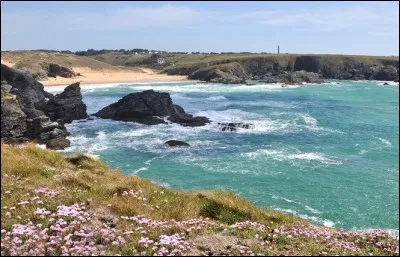 Qui chante en 1985 "Belle-Ile-en-Mer Marie-Galante Saint-Vincent Loin Singapour Seymour Ceylan Vous c'est l'eau c'est l'eau Qui vous sépare Et vous laisse à part..." ?