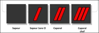 De quelle catégorie font partie ces grades ?