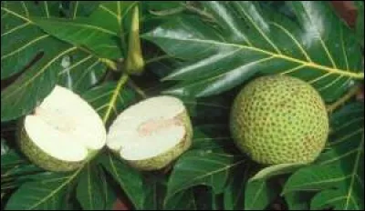 Quel est ce fruit dont on consomme le noyau ?