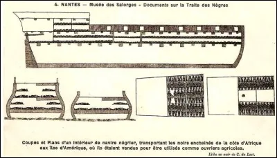 Combien d'esclaves pouvait transporter un bateau négrier ?