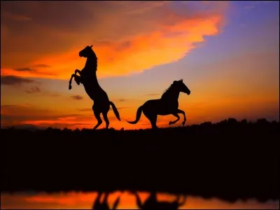 Qui oppose le deuxième ?