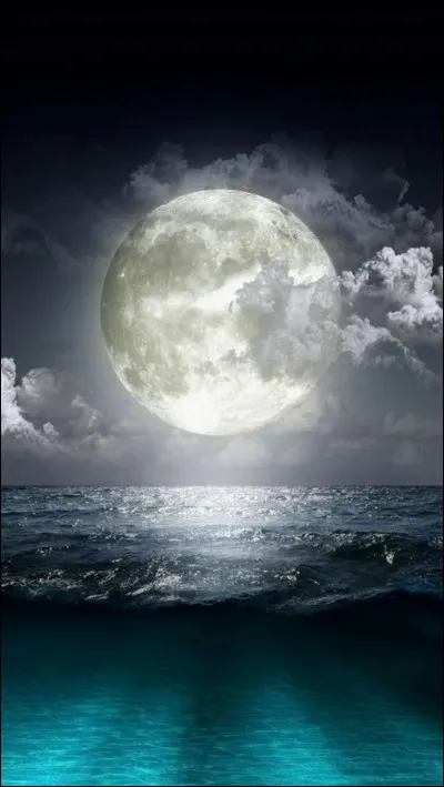 Quel est le titre du tome 5 ?