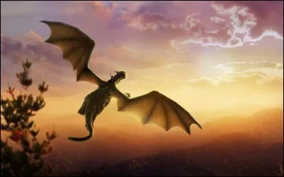 Avec quel dragon Argil décide-t-il de s'enfuir ?