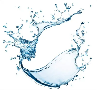 Qui part dans la rivière ?