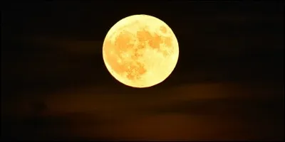 Quel être surnaturel est Hayley ?