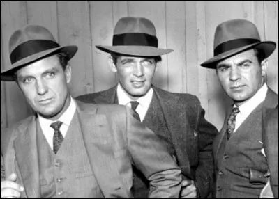 Quelle est cette série qui nous a distraits de 1959 à 1963 ?